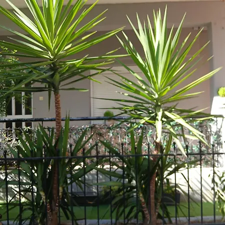 Aggeliki's House Θεσσαλονίκη