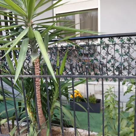 Aggeliki's House Apartament